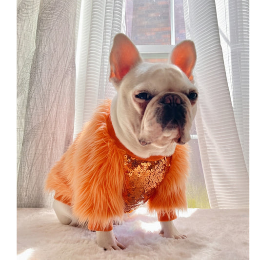 Life of Showgirl Orange Faux Fur Glamour Sequin Sweater