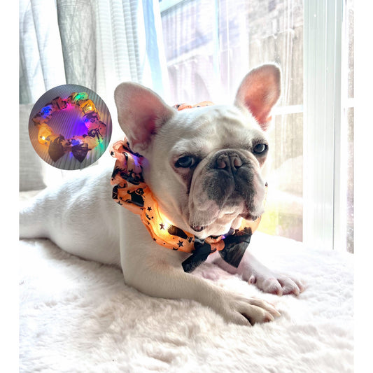 Halloween Colorful LED Glowing Neckband Bandana Collar