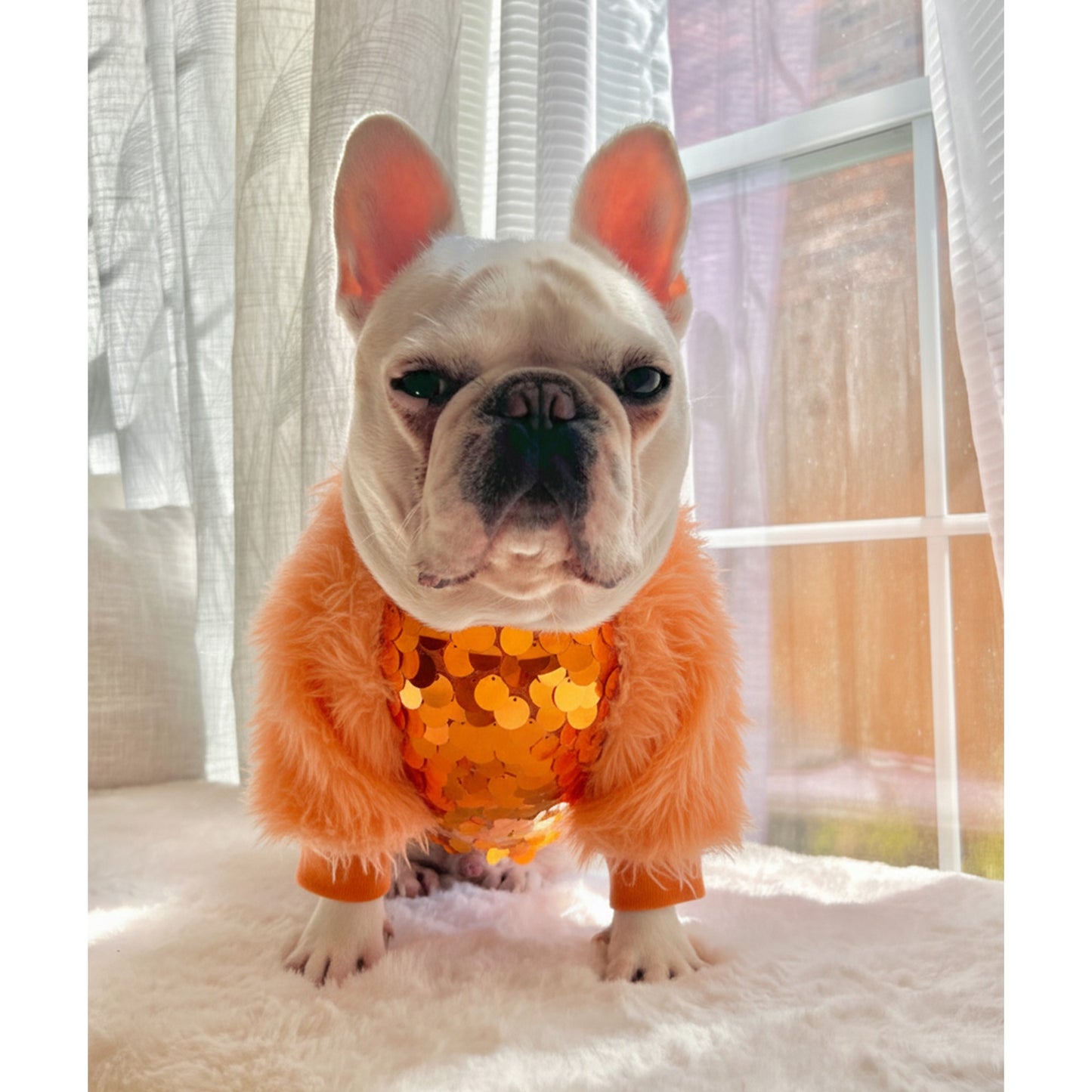 Life of Showgirl Orange Faux Fur Glamour Sequin Sweater