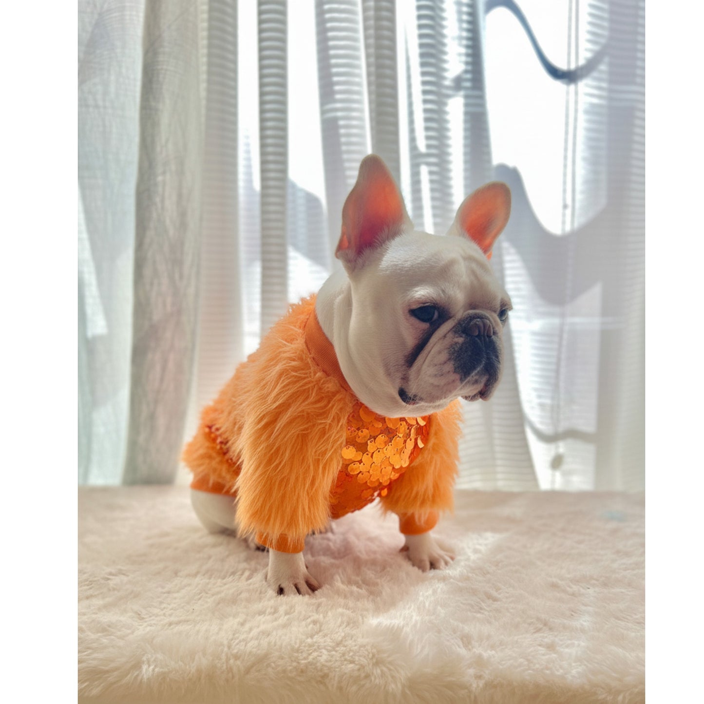 Life of Showgirl Orange Faux Fur Glamour Sequin Sweater