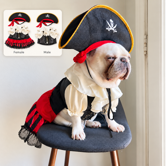 Carribean Pirate Dog Cat Pet Halloween Renaissance Corset Dress Costume