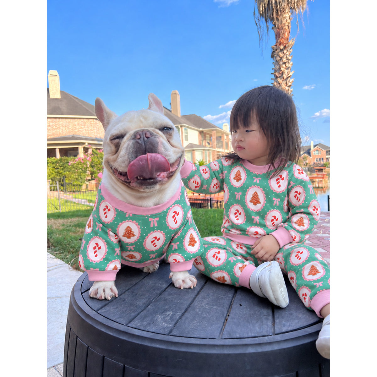 Pastel Mint Pink Christmas Holidays Owner and Pet Family Kids Matching Sweater and Sweatpants