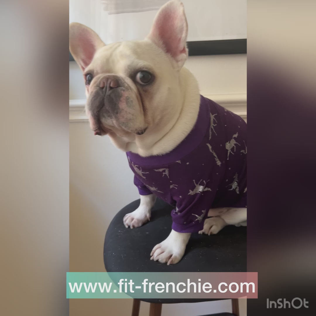 Pet and Owner Purple Sparkling Unicorn Glitter Matching Sweaters