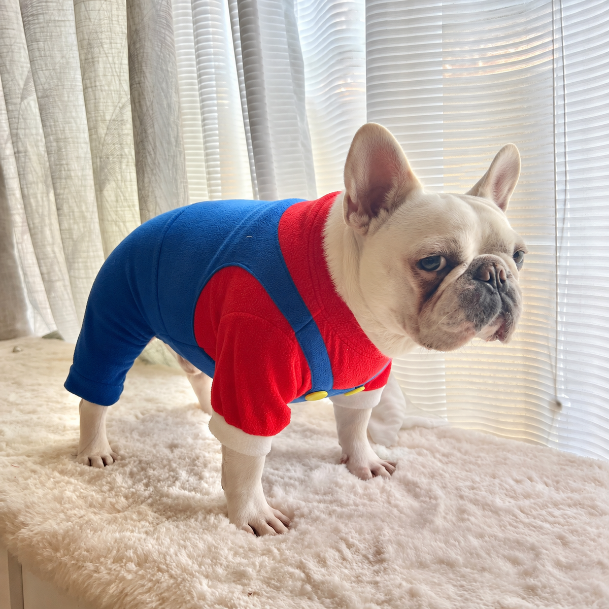 Blue and Red Overall One Piece for Dog Cat Pet Halloween Costume