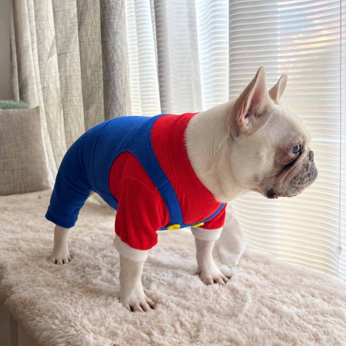 Blue and Red Overall One Piece for Dog Cat Pet Halloween Costume