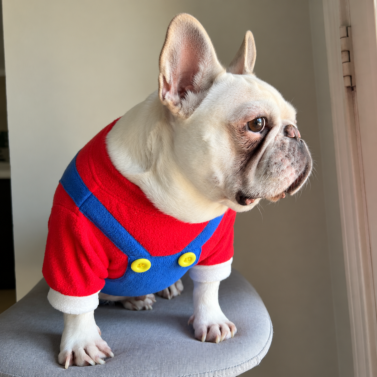 Blue and Red Overall One Piece for Dog Cat Pet Halloween Costume