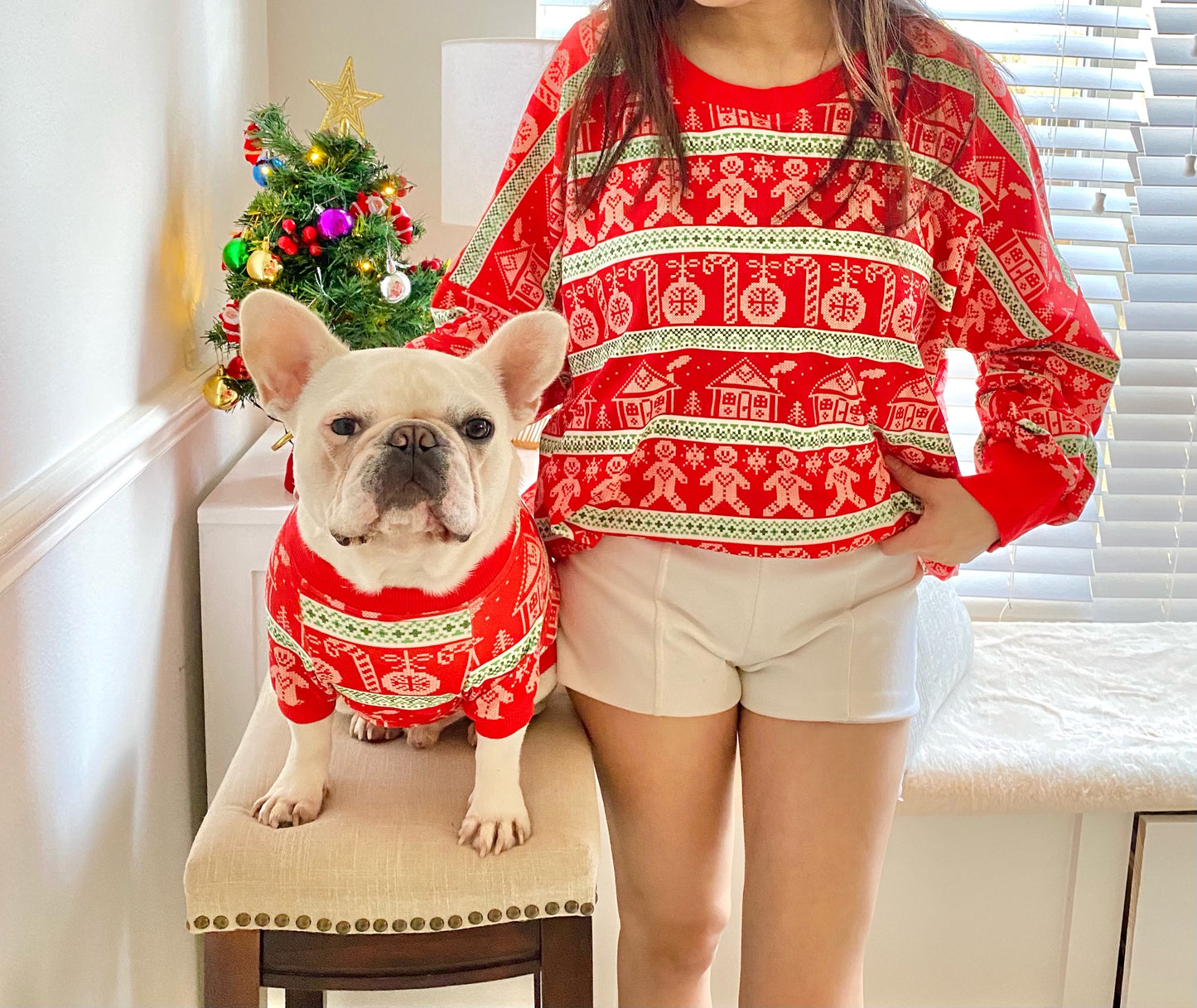 Christmas Classic Print Owner and Pet Matching Set