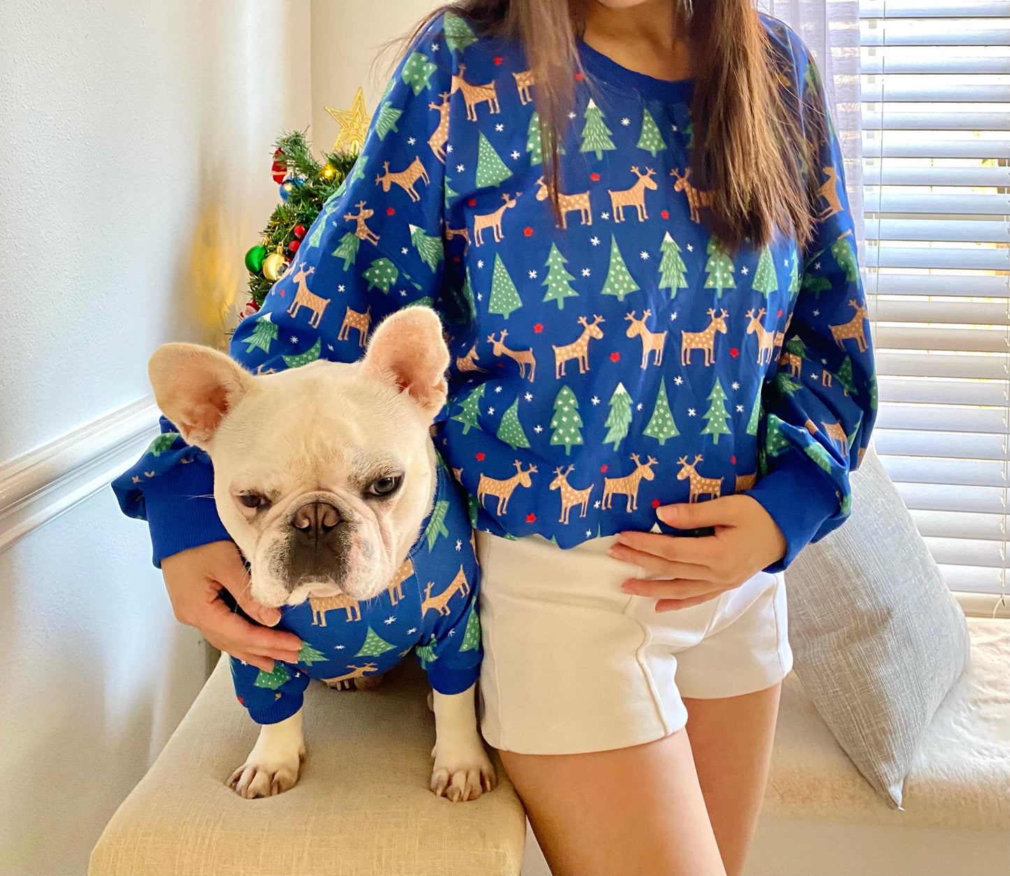 Christmas Winter Deer Reindeer Owner and Pet Family Matching Sweater