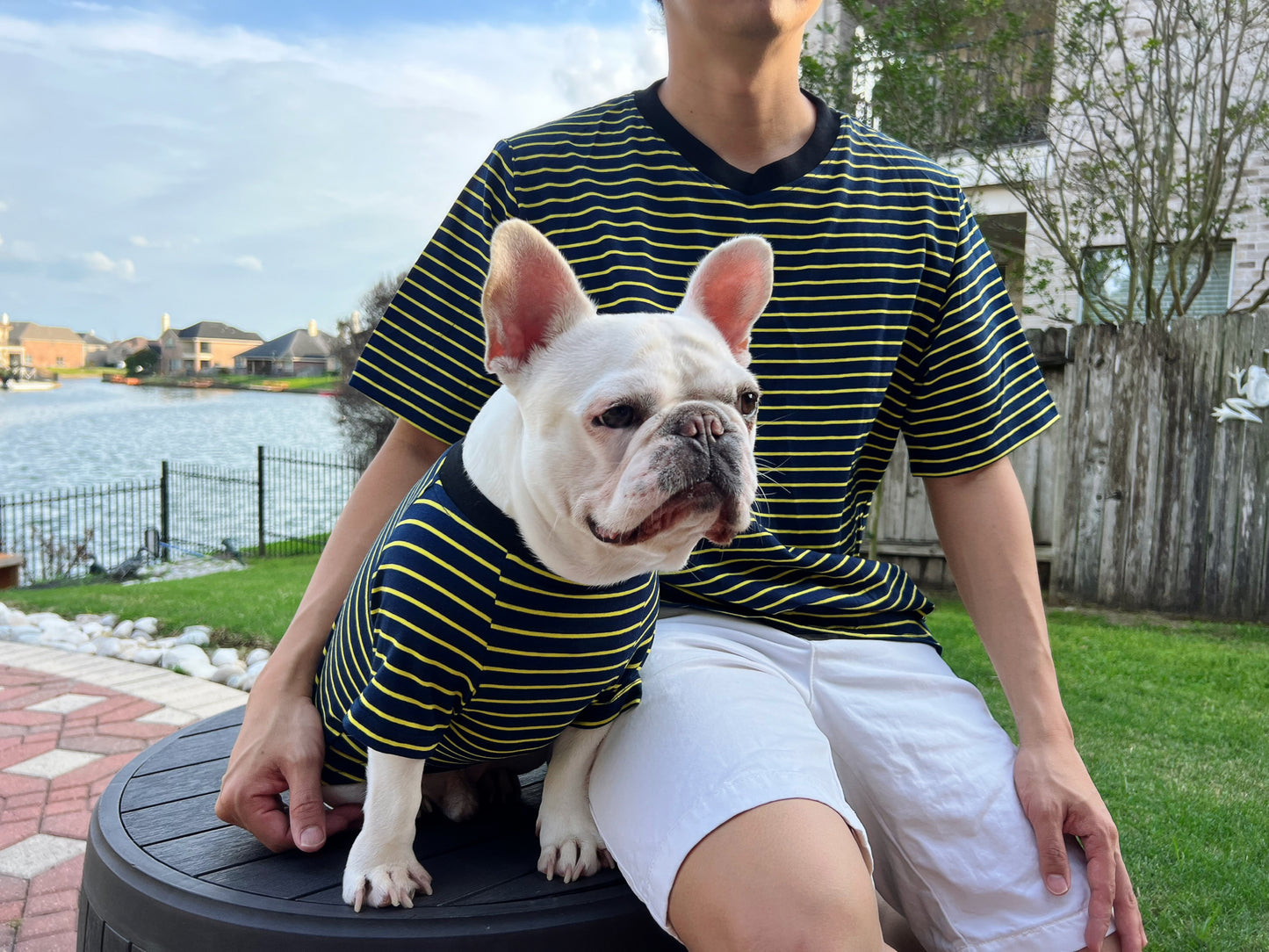 Black Yellow Striped Owner and Pet Matching Set