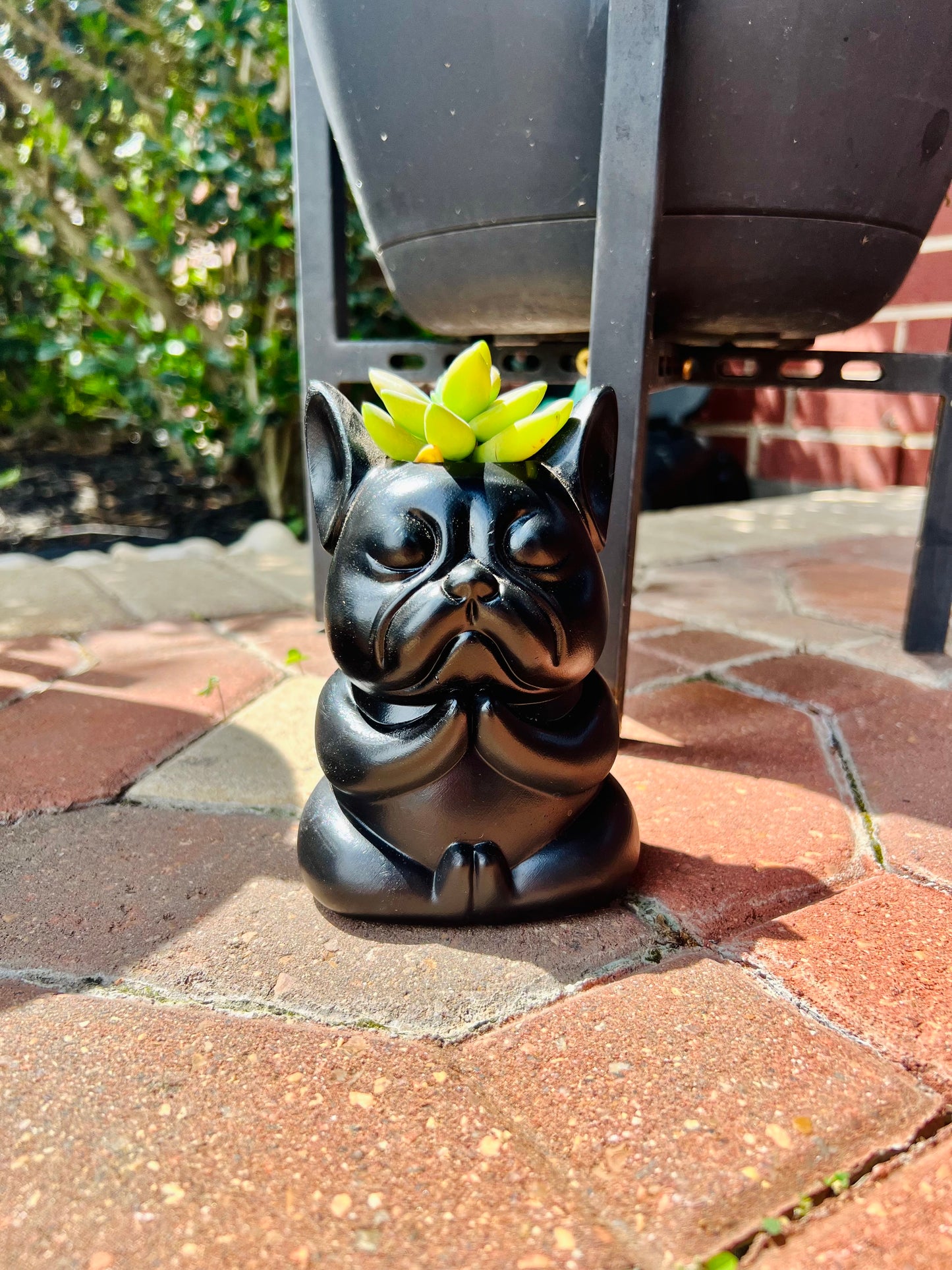 French Bulldog Vase Plant Flower Succulent Pot/ Pencil Holder