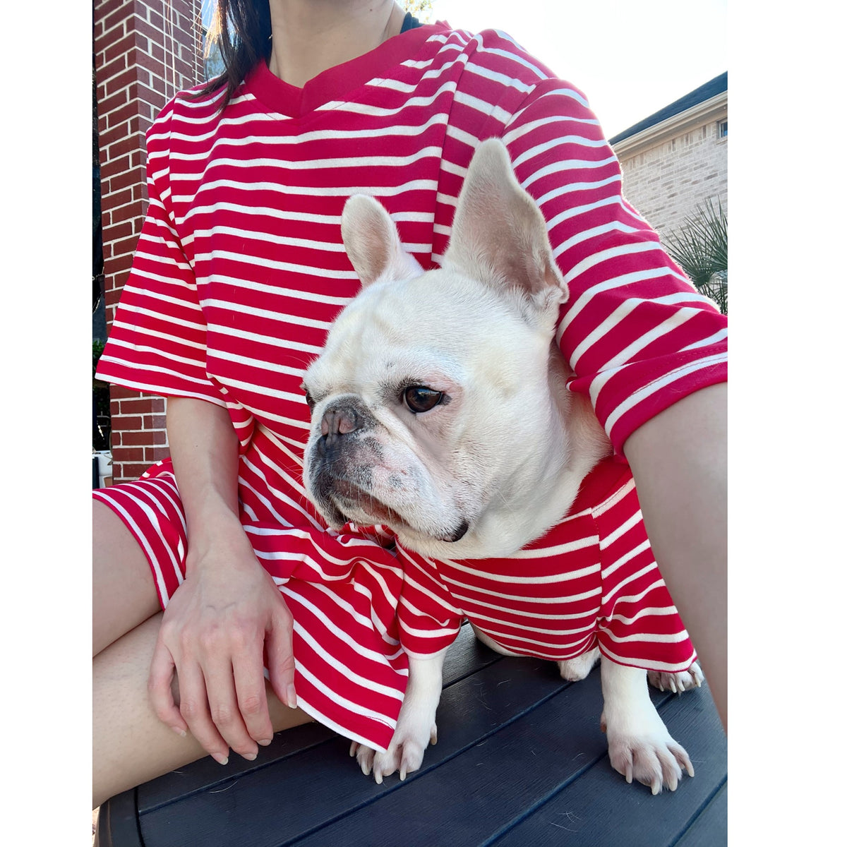 Red Thread Frenchie Red Striped Owner and Pet Family Matching Set – fit-frenchie.com