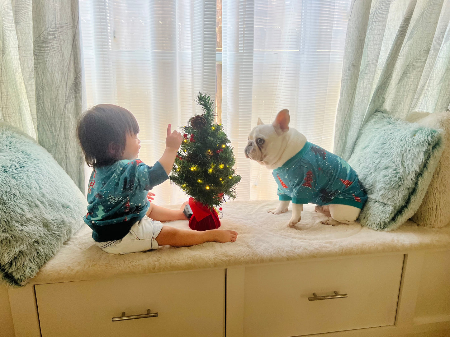 Christmas Pine Trees Owner and Pet Matching Set