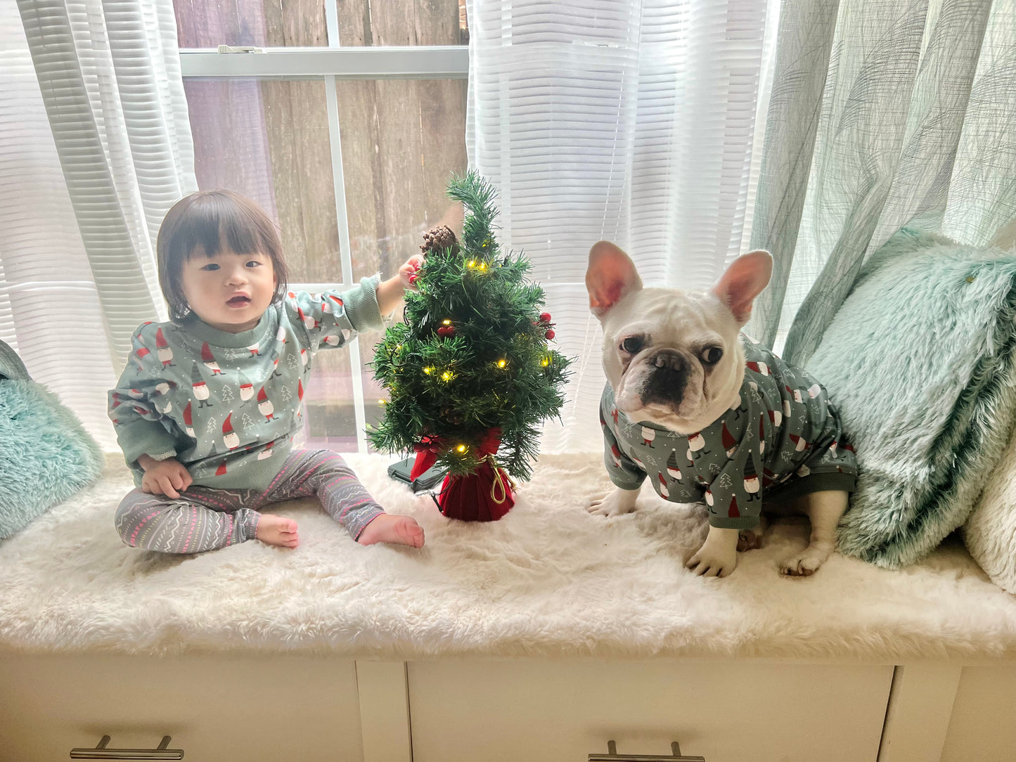Christmas Gnomes Owner and Pet Family Matching Sweater