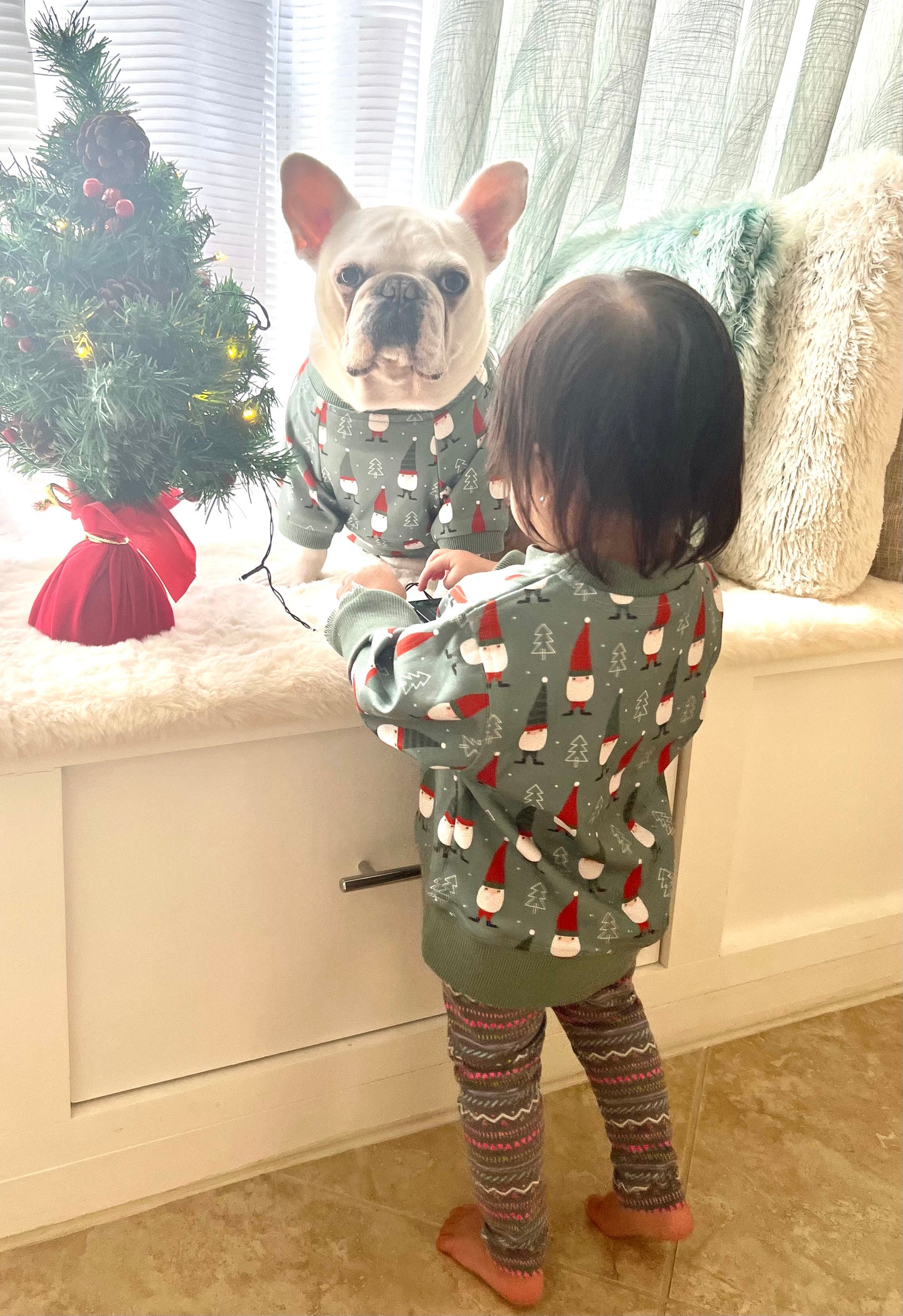 Christmas Gnomes Owner and Pet Family Matching Sweater