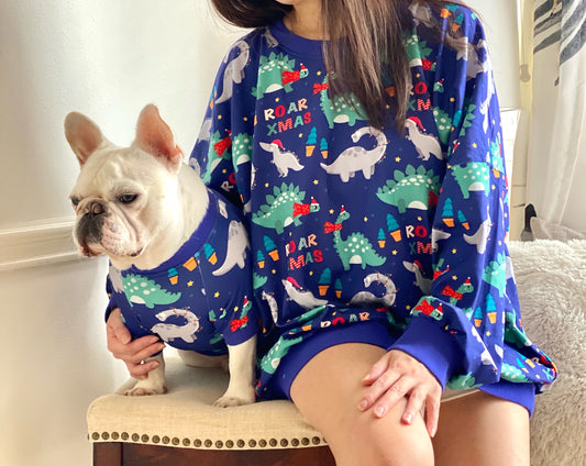 Dinosaur Roar Christmas Owner and Pet Family Matching Sweater