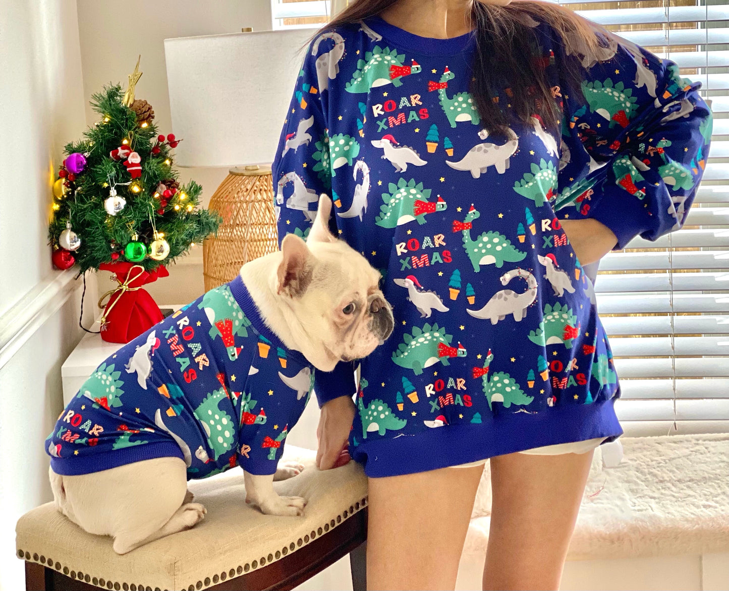 Dinosaur Roar Christmas Owner and Pet Family Matching Sweater