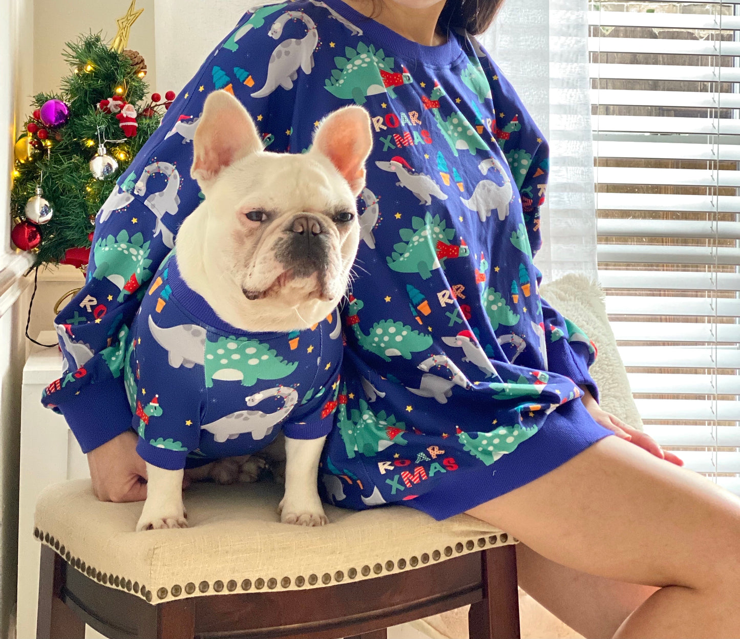 Dinosaur Roar Christmas Owner and Pet Family Matching Sweater