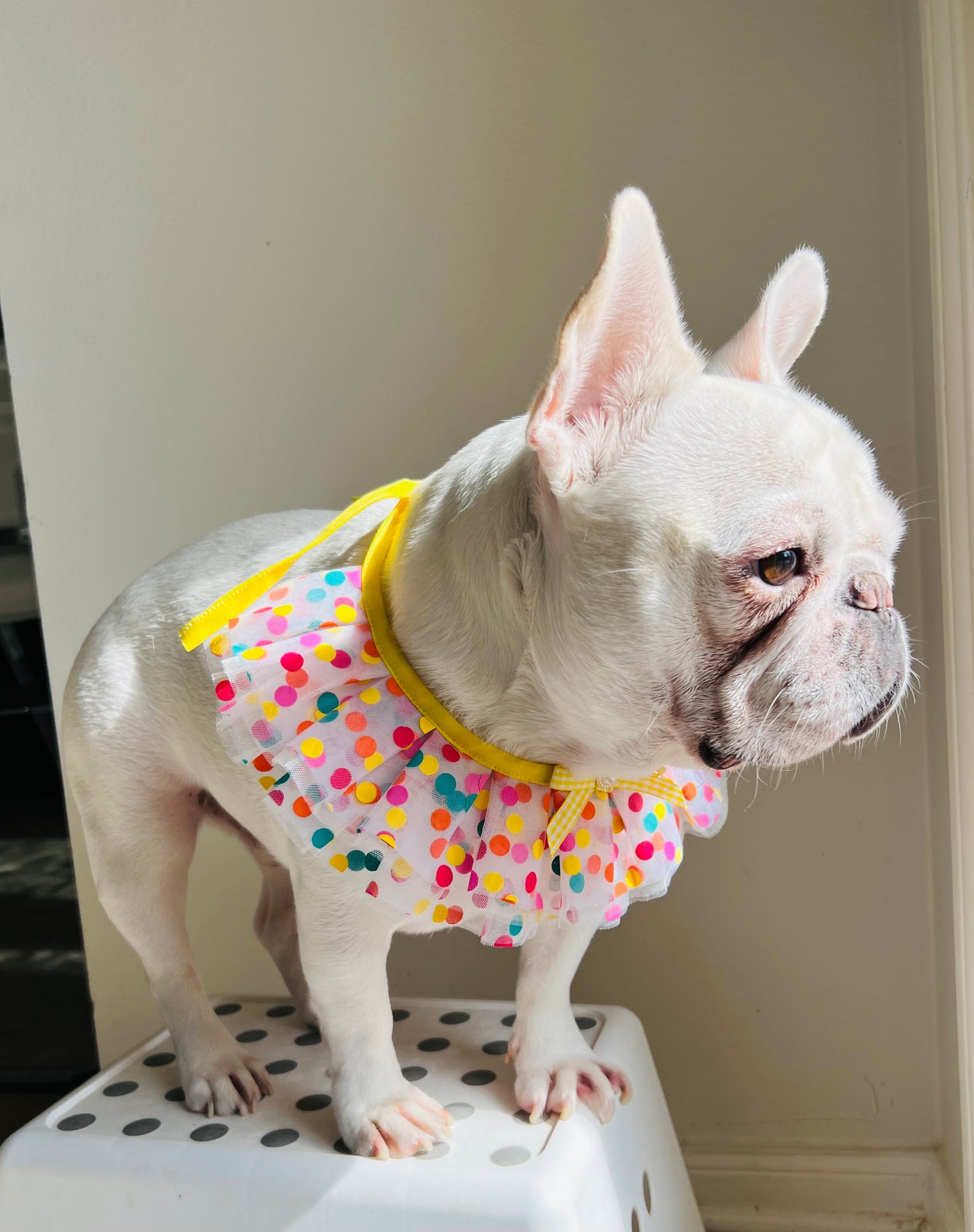 Happy Merry Bandana Bib