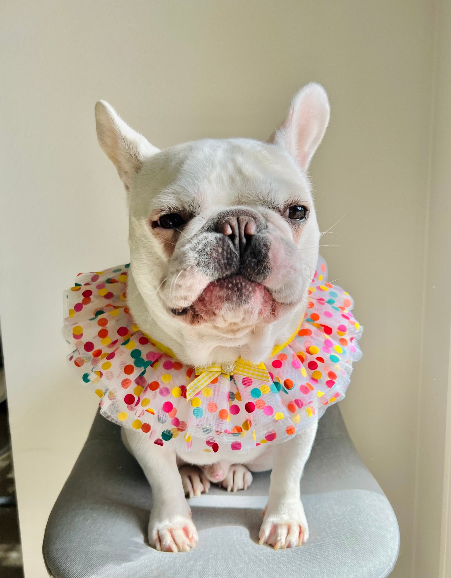 Happy Merry Bandana Bib