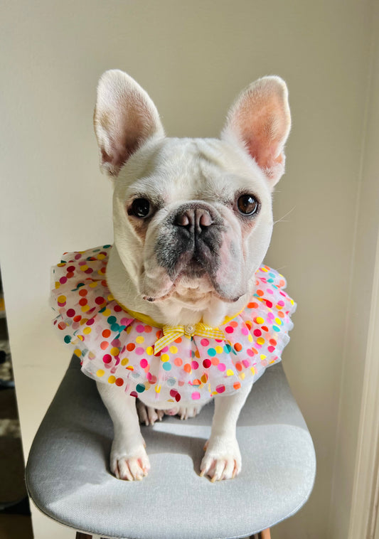 Happy Merry Bandana Bib