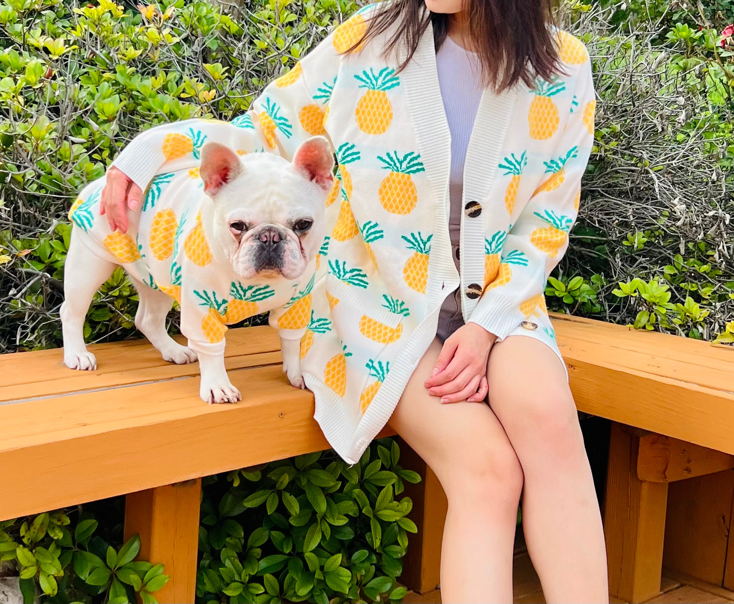 Pineapple Ananas Owner Cardigan and Pet Sweater Matching Set