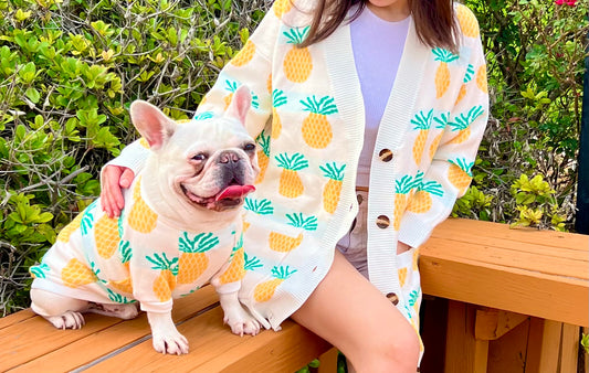 Pineapple Ananas Owner Cardigan and Pet Sweater Matching Set