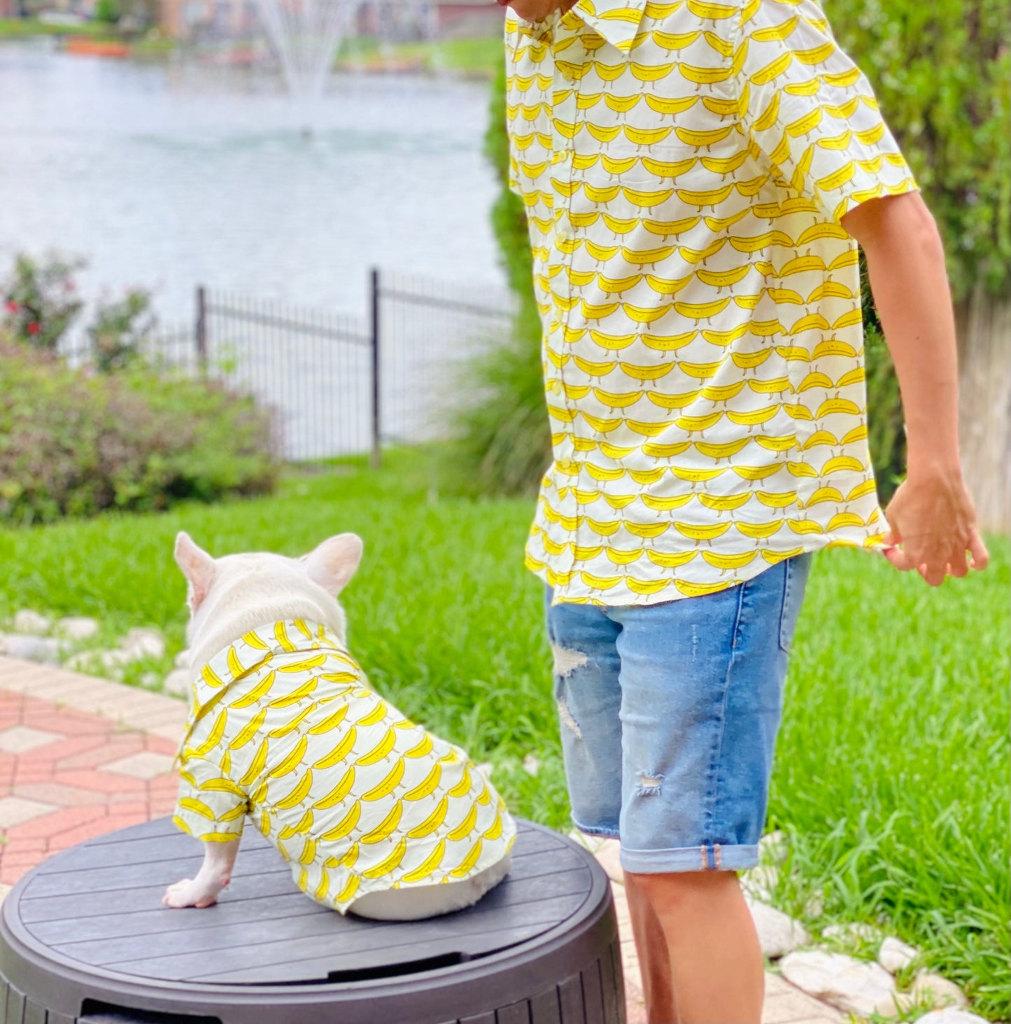 Banana Owner and Pet Matching Button Shirt / Bandana