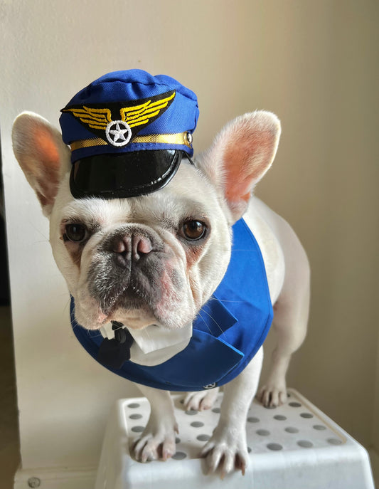 Pilot Bandana Bib and Hat Costume Set