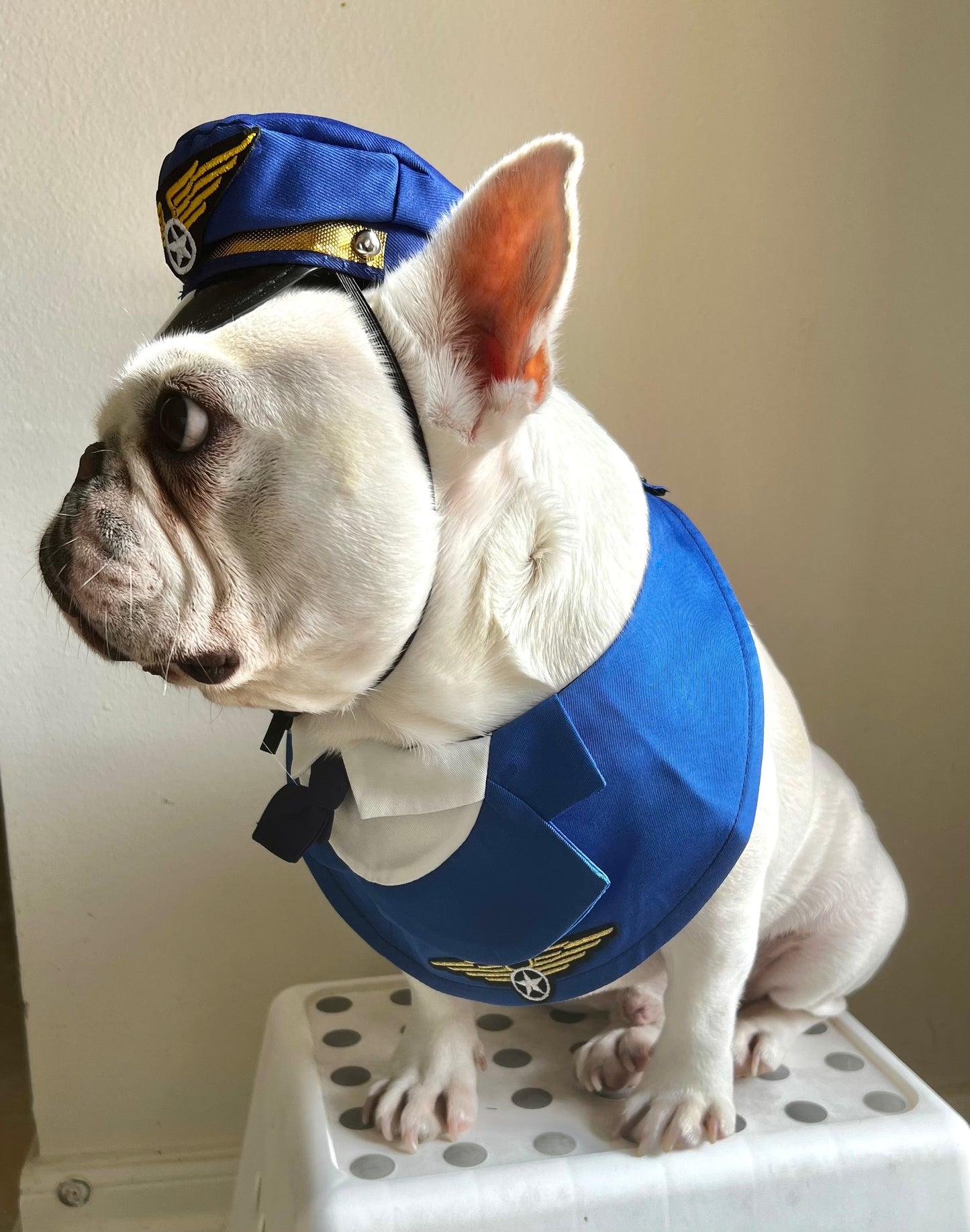 Pilot Bandana Bib and Hat Costume Set