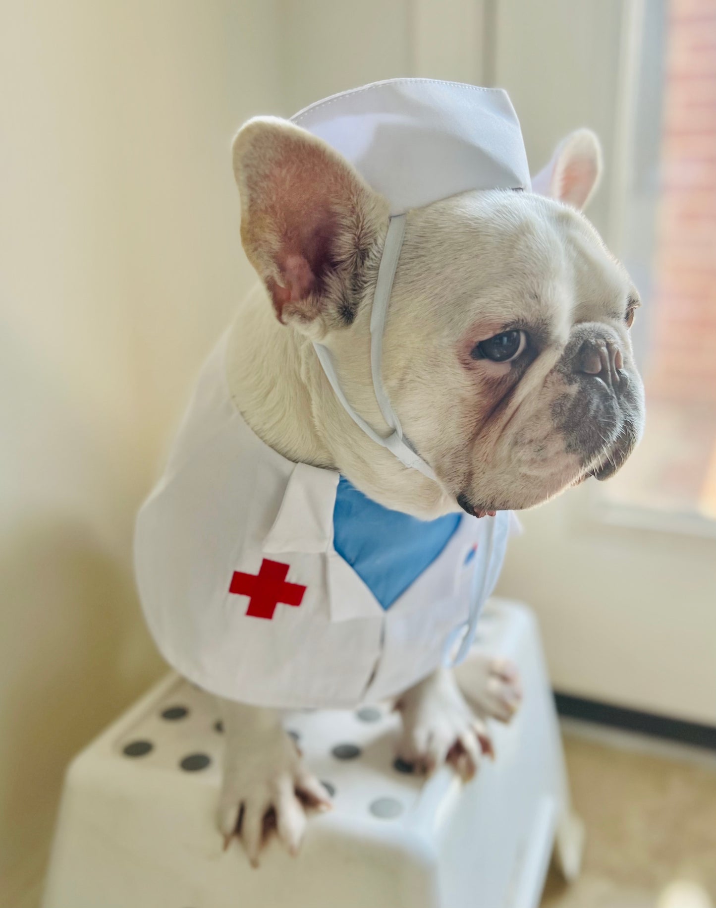 Doctor Veterinarians Bandana Bib and Hat Pet Costume Set
