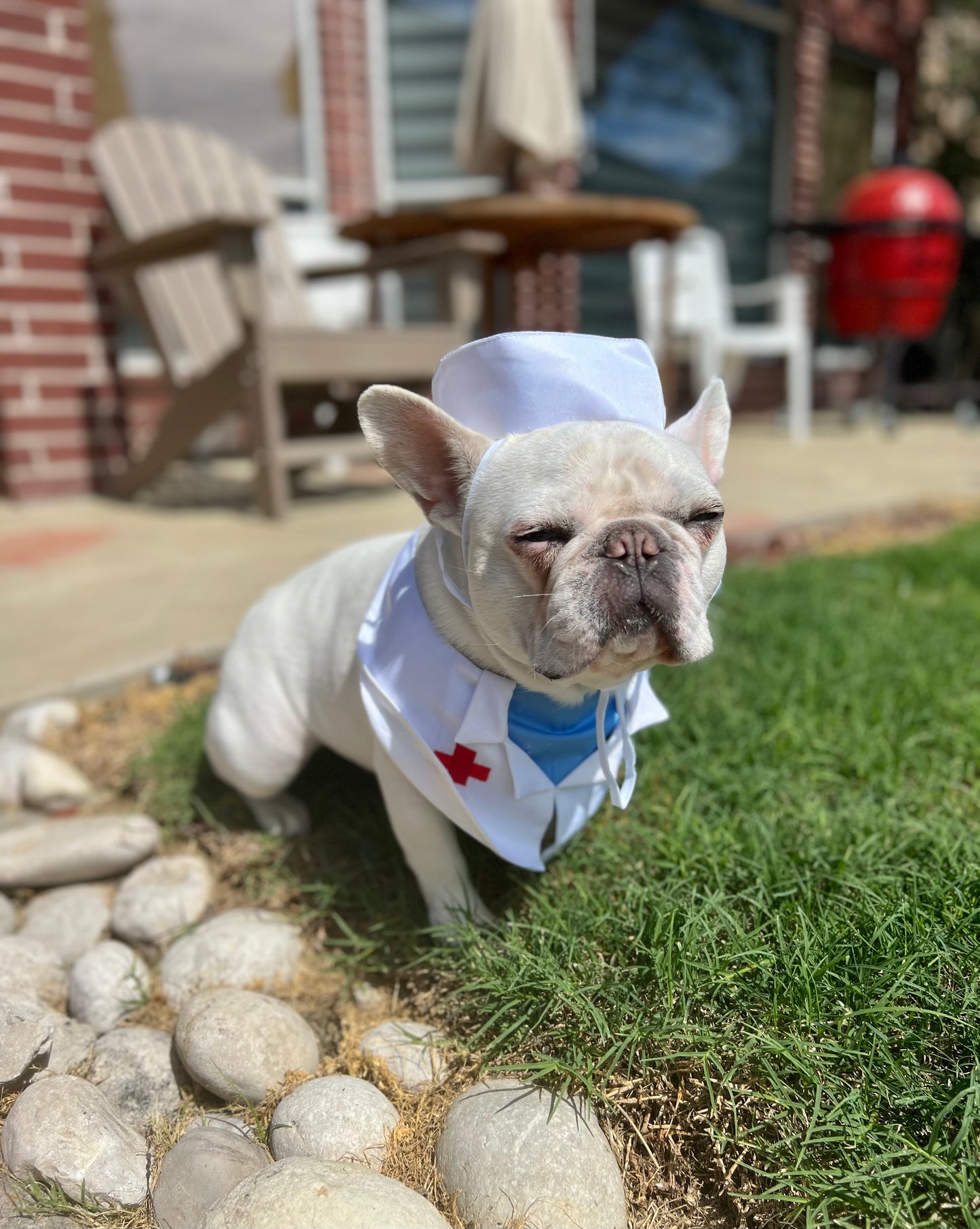 Doctor Veterinarians Bandana Bib and Hat Pet Costume Set