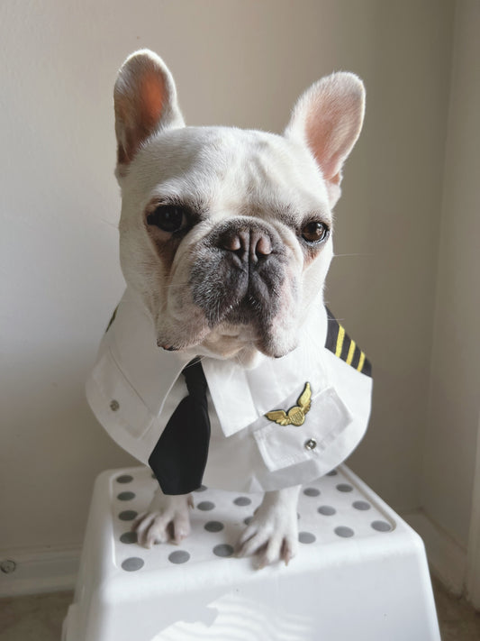 Pilot White Bandana Bib