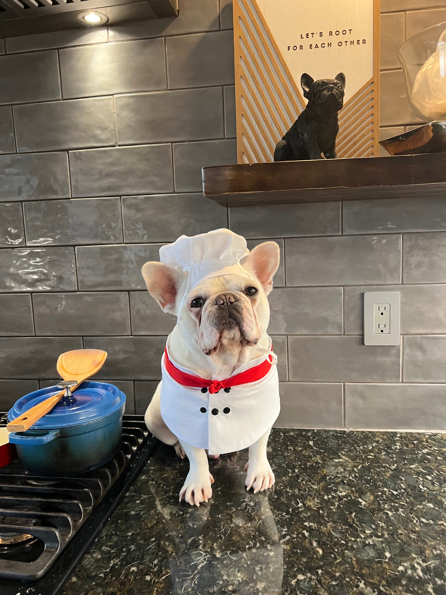 Halloween Chef Dog Cat Pet Costume