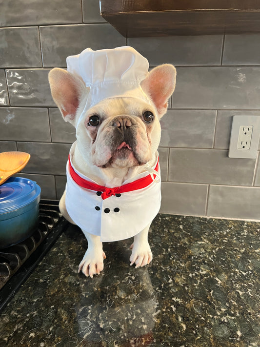 Halloween Chef Dog Cat Pet Costume