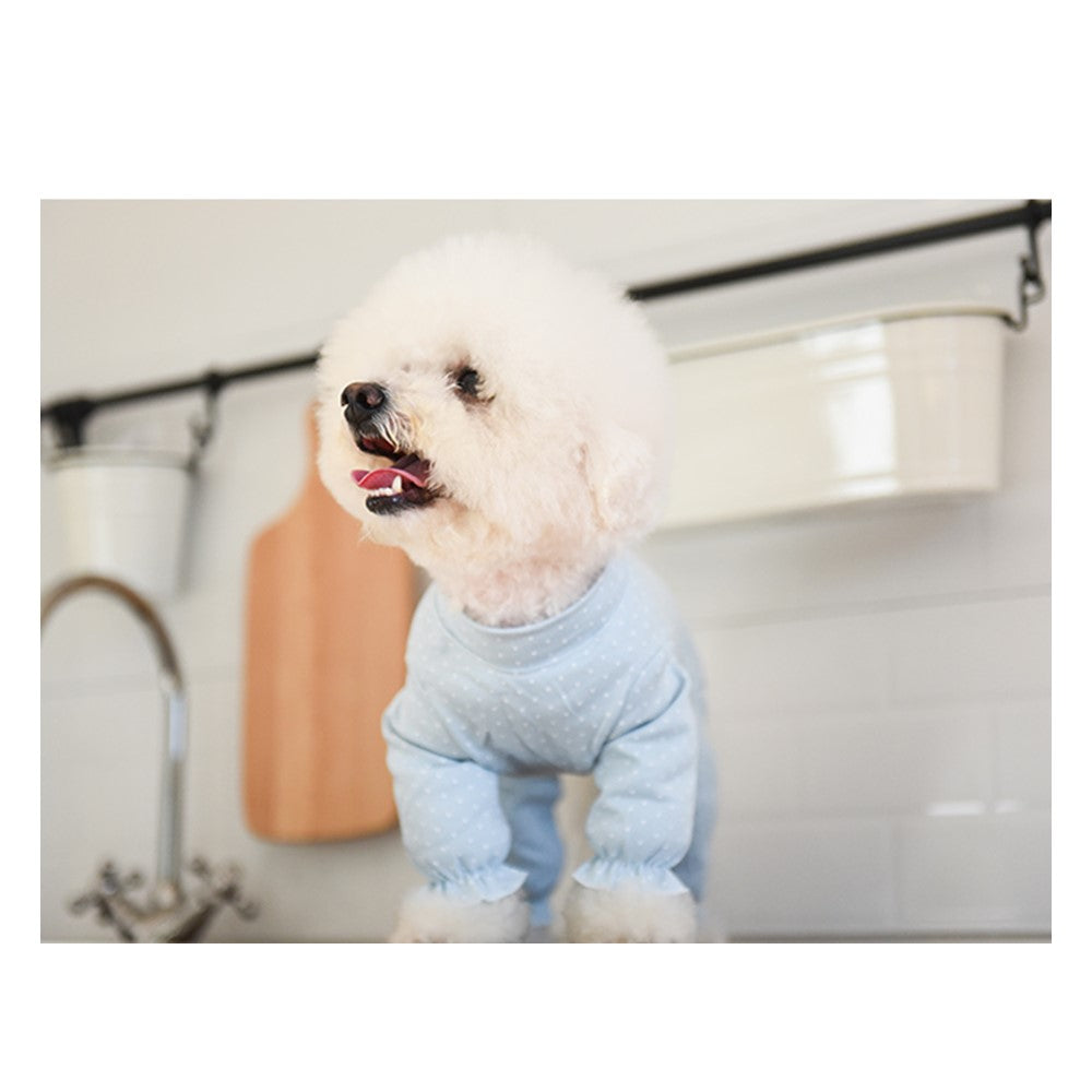 Tailor-Made Post Surgery Jumpsuit for Small Cat and Dog