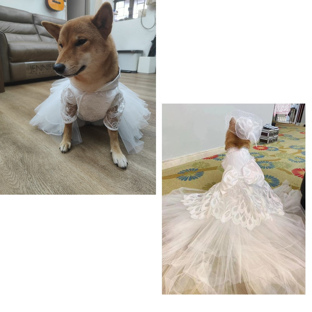 Long Train Prom/ Wedding Dress with Detachable Train