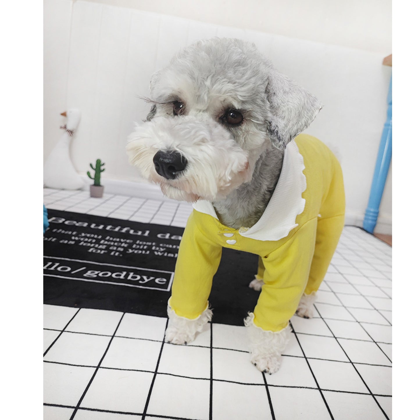 Dog and Cat with Sensitive Skin Shedding Protection Jumpsuit