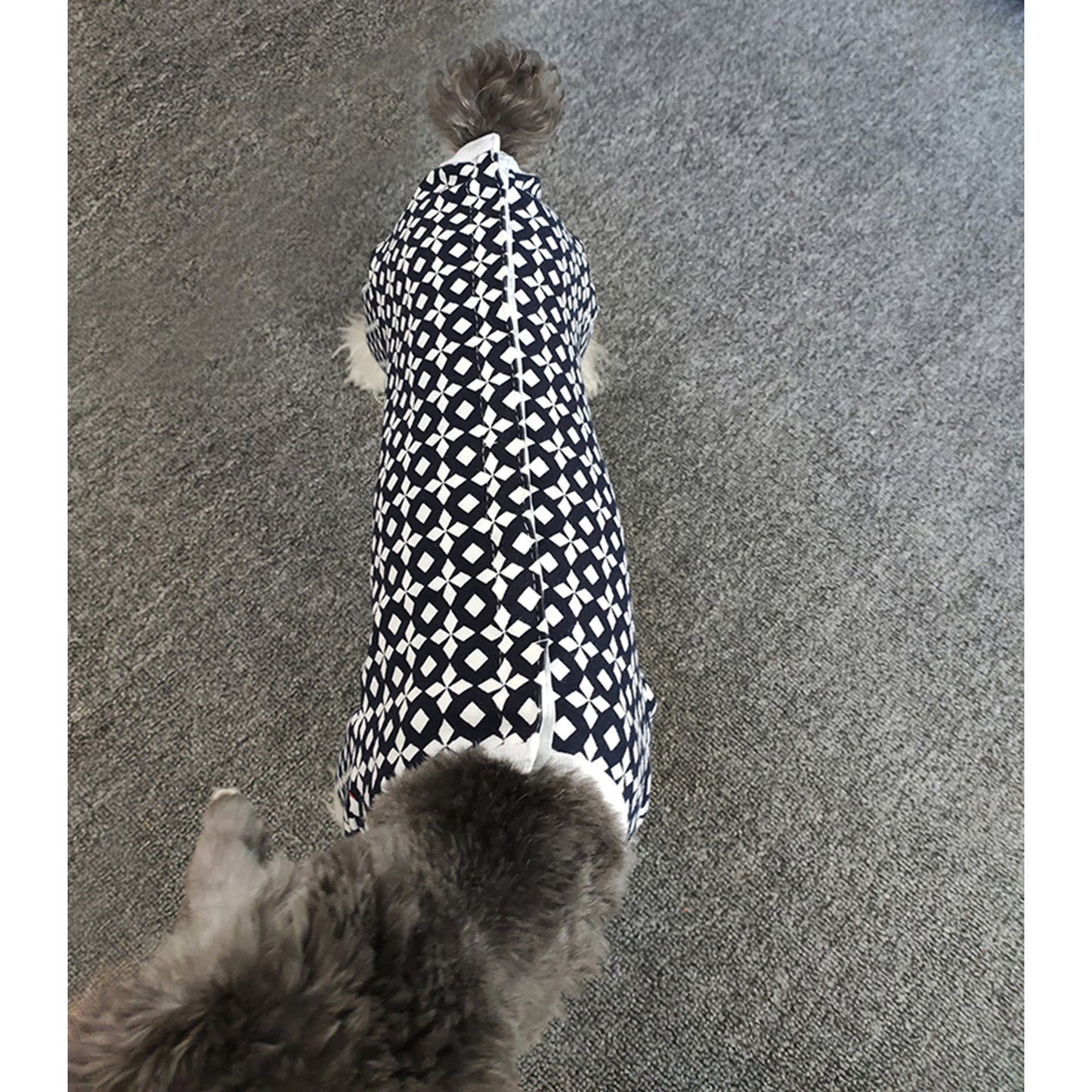Post-Surgical Spayed Neutered Dog and Cat with Sensitive Skin Jumpsuit