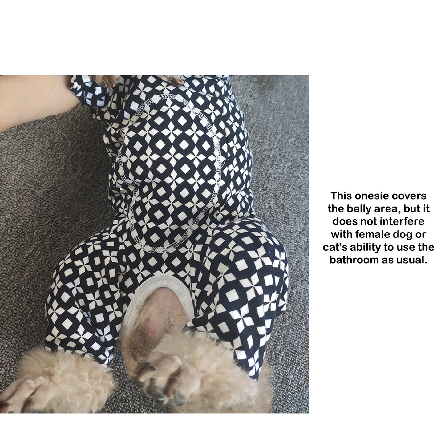 Post-Surgical Spayed Neutered Dog and Cat with Sensitive Skin Jumpsuit