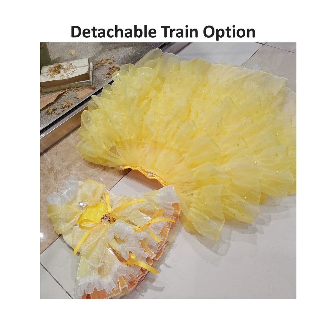 Long Train Prom/ Wedding Dress with Detachable Train
