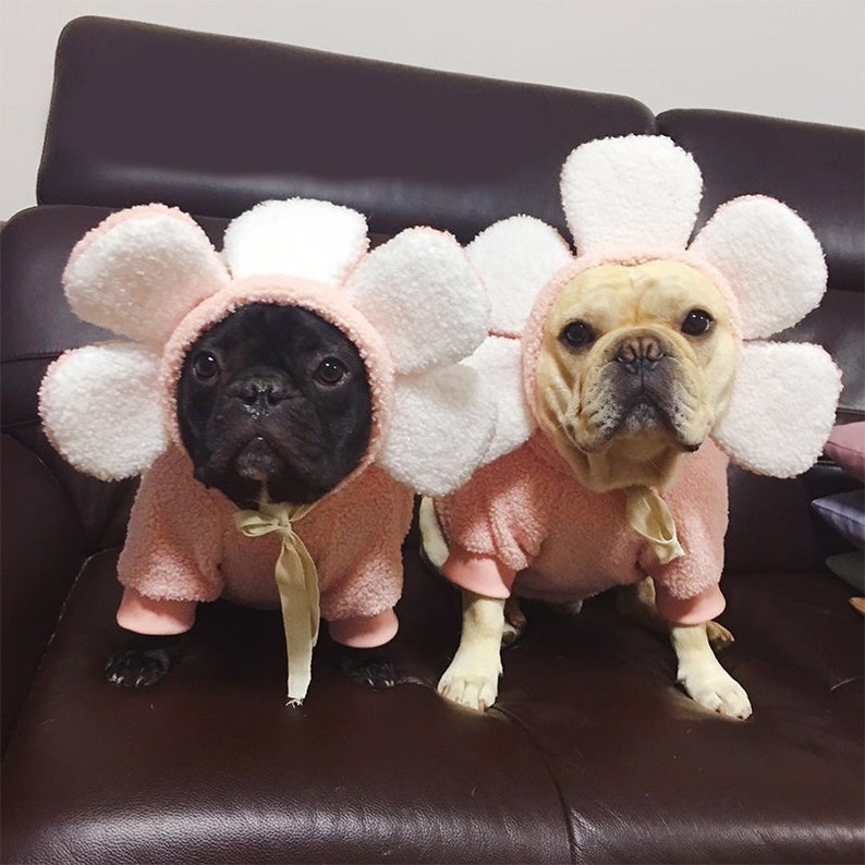 Flower Drama Hoodie