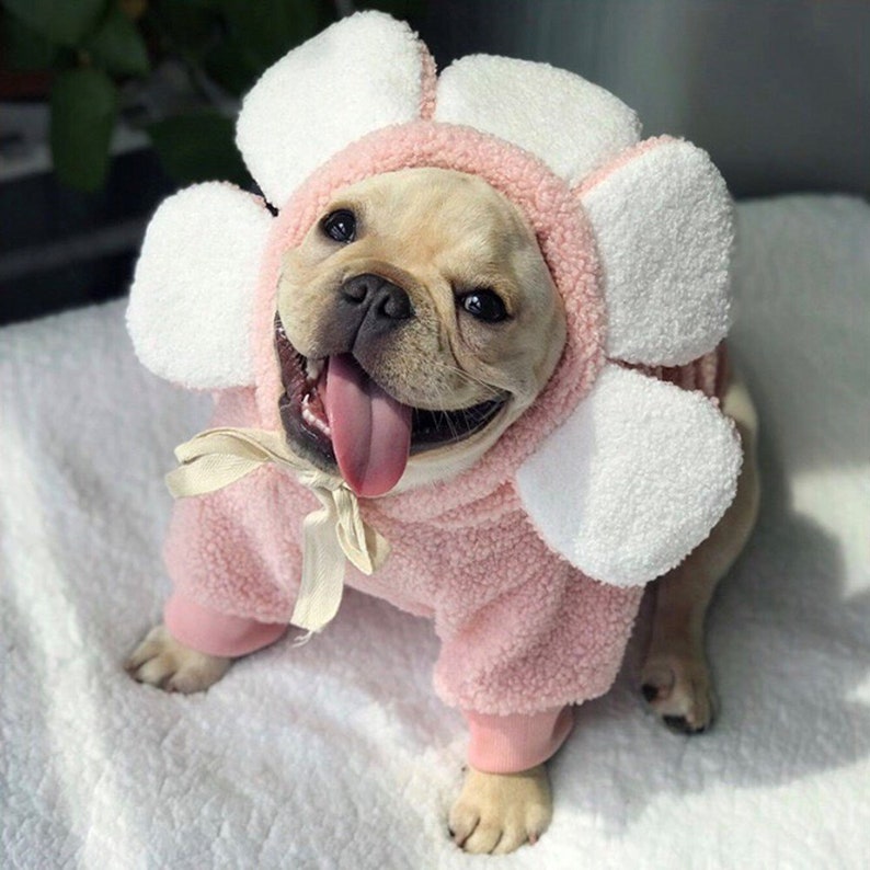Flower Drama Hoodie