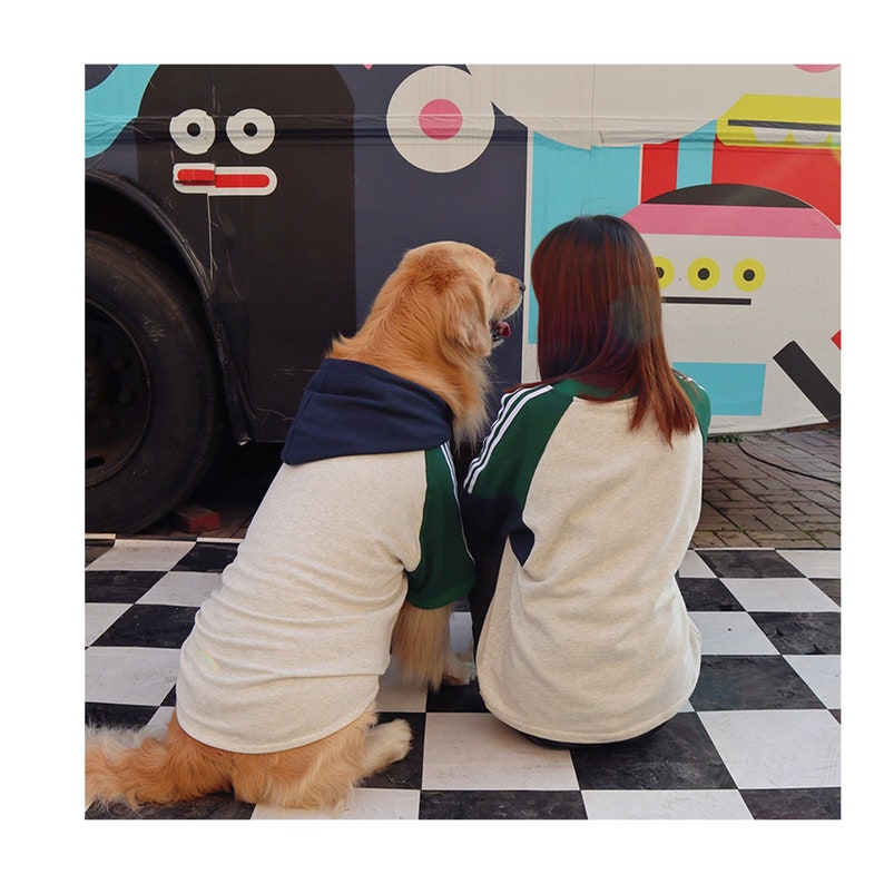 Color Block Owner Sweater and Pet Hoodie Matching Set