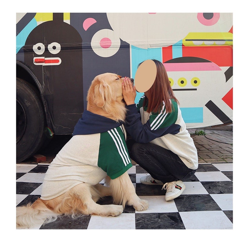 Color Block Owner Sweater and Pet Hoodie Matching Set