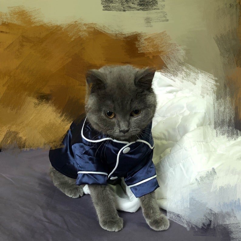 Satin PJ Pajamas Sleepwear