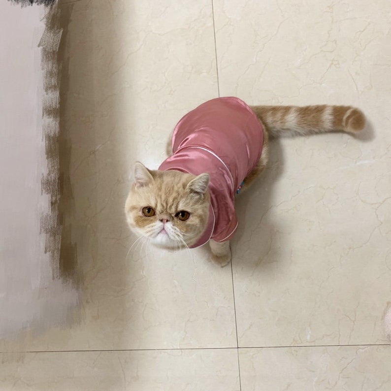 Satin PJ Pajamas Sleepwear