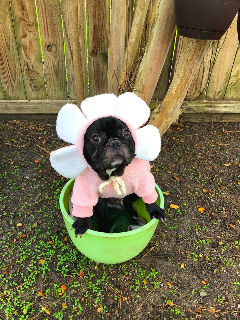 Flower Drama Hoodie