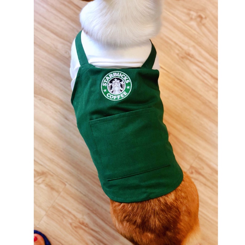Barista Inspired Uniform Costume Tee Top with Signature Green Apron