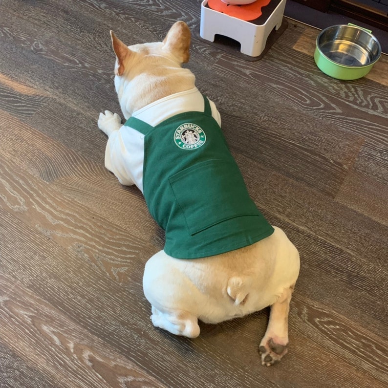 Barista Inspired Uniform Costume Tee Top with Signature Green Apron