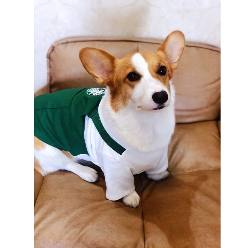 Barista Inspired Uniform Costume Tee Top with Signature Green Apron